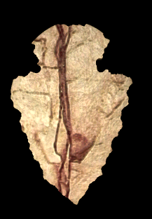 arrowhead point down hg blk