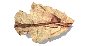 arrowhead point right hg wht