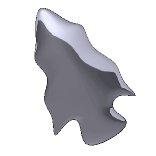 arrowhead shimmer hg clr  st