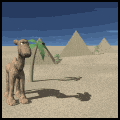 camel spitting md wht