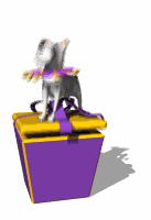 binky pushing box down md wht