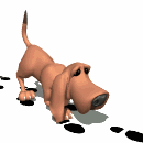 bloodhound tracking md wht