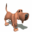 bloodhound walking md wht