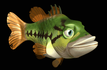 largemouth bass swimming hg blk