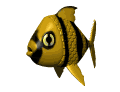 tropical fish wading md wht