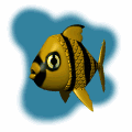yellow tropical fish swimming md wht