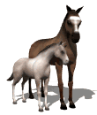 horse and foal md wht