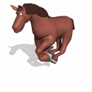 horse galloping md wht