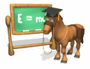 smart donkey chalkboard md wht