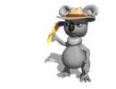 koala throwing boomerang md wht