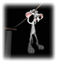 mouse hanging on md wht