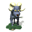 ram eating grass md wht