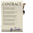 wolf peeking around contract md wht