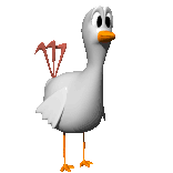 chicken blink lg clr