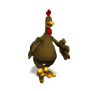 rooster walking md wht