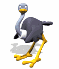 ostrich cartoon blinking md wht