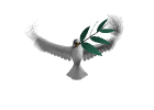 peace dove olive branch md wht