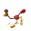 roadrunner running md wht