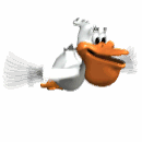 pelican flying md wht