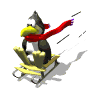 penguin sled ride md wht