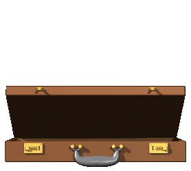 briefcase open close hg clr