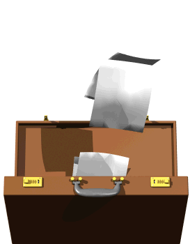 briefcase papers fly hg wht  st