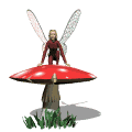 fairy crouched toadstool md wht