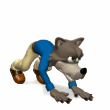 wolfman running all fours md wht