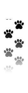 vertical cat paw prints md wht