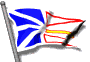 newfoundland fi md wht