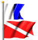 diver down two flags fl md wht