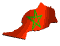 morocco fp md wht