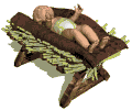 baby jesus lying in manger md wht