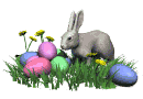 bunny easter eggs md wht