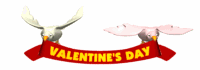 love birds valentine ribbon md wht