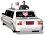 closeup bride groom limousine md wht