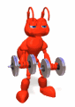 ant dumbbells md wht
