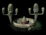 cactus mexican hat dance lg blk