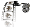 film reel tree swinging md wht