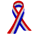 usa ribbon shining md wht