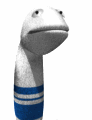 sock puppet shrugging md wht