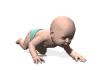 baby crawl md wht