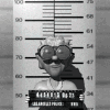 old lady jail mugshot multiangle md wht