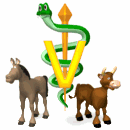 veterinary symbol animals md wht