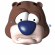 bear sad md wht