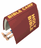 bible camp sm wht  st