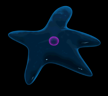 amoeba moving hg blk