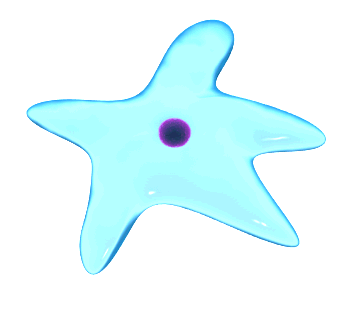 amoeba moving hg wht