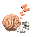 brain sleeping md wht