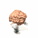 jog your memory md wht